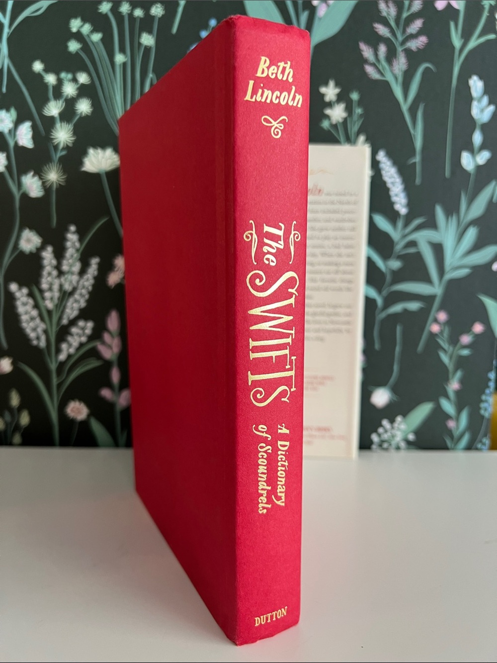 The Swifts: A Dictionary of Scoundrels, written by Beth Lincoln Hardcover book - Picture 11 of 17